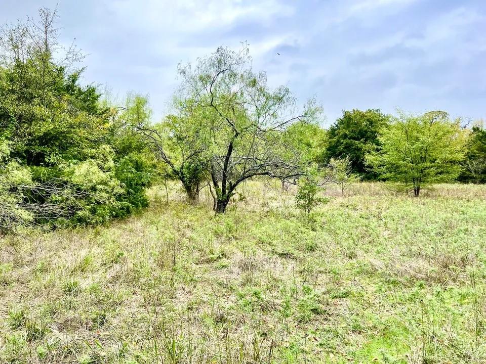 Tbd Cr-2117 Property Photo 14