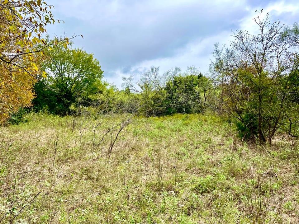 Tbd Cr-2117 Property Photo 15