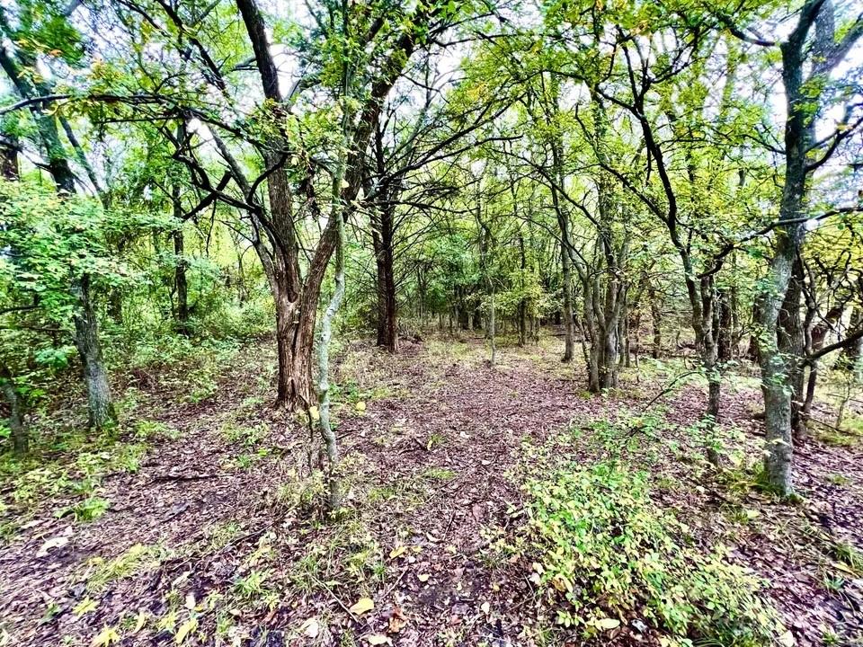 Tbd Cr-2117 Property Photo 16