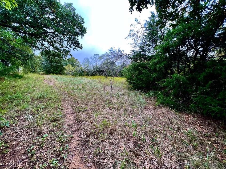 Tbd Cr-2117 Property Photo 17