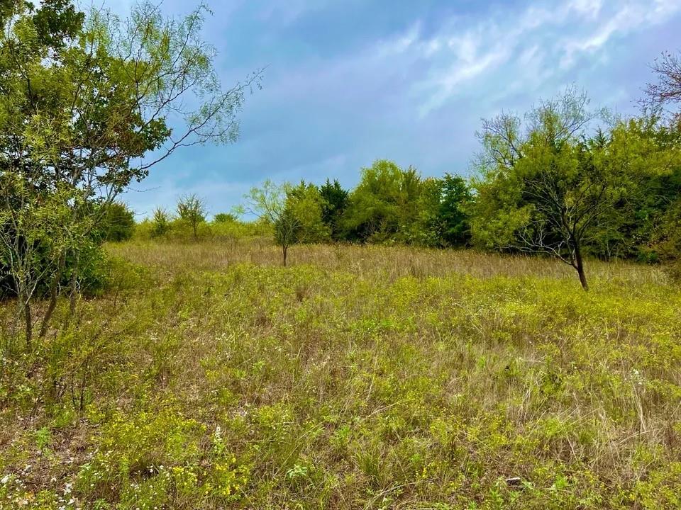 Tbd Cr-2117 Property Photo 18