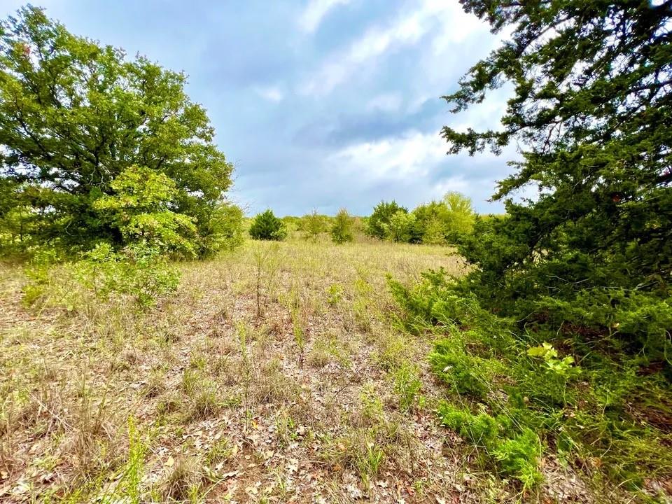 Tbd Cr-2117 Property Photo 19
