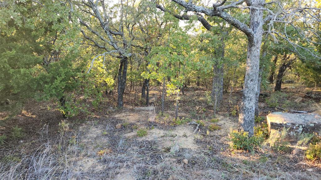 411 Mountain View Court Property Photo 1