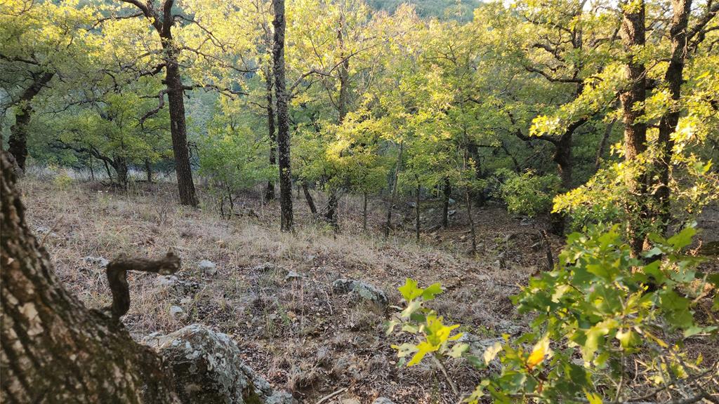 411 Mountain View Court Property Photo 3