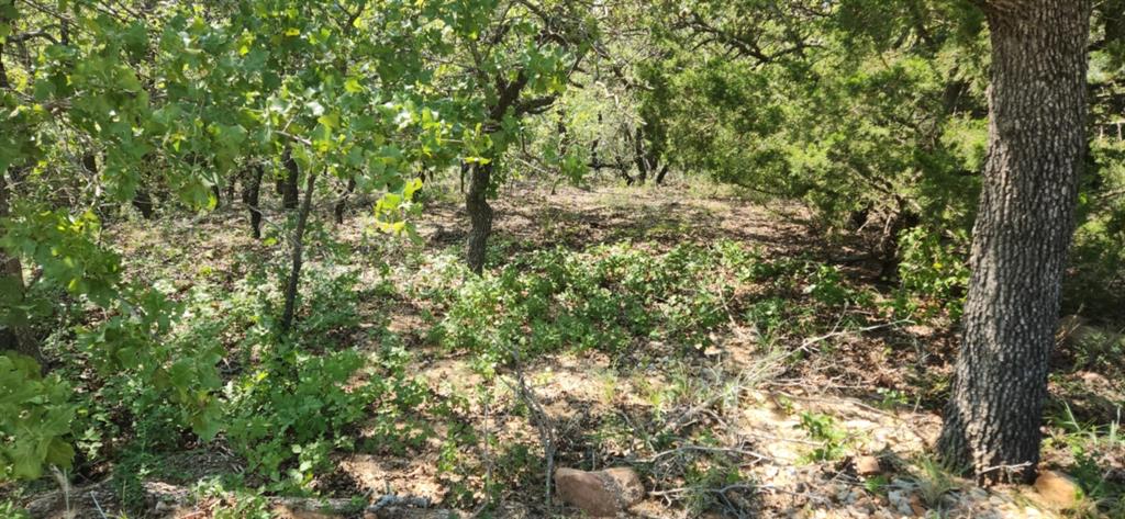411 Mountain View Court Property Photo 4