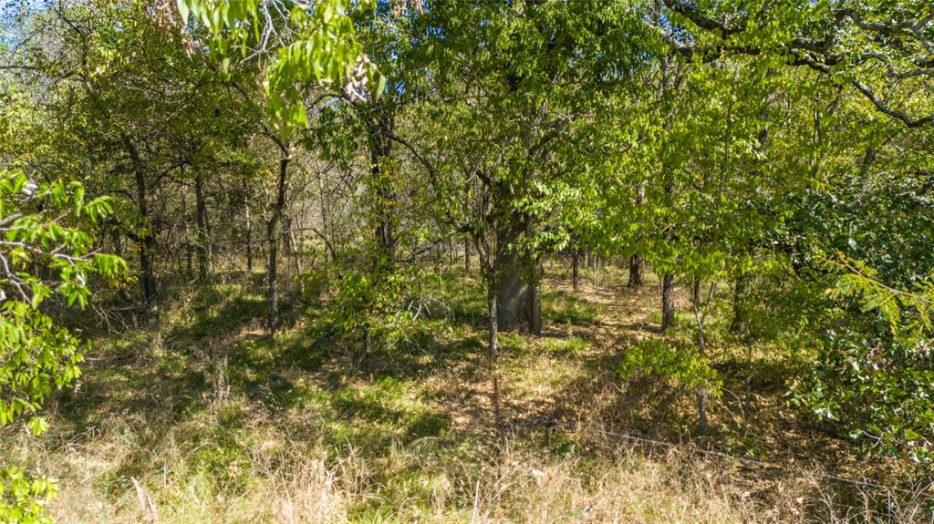 000 Rs County Road 4480 Property Photo 5