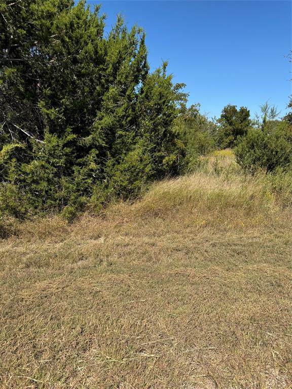 36026 Cedar Ridge Drive Property Photo 1