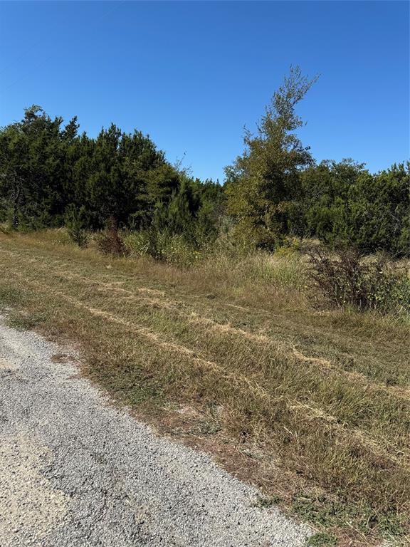 36026 Cedar Ridge Drive Property Photo 2