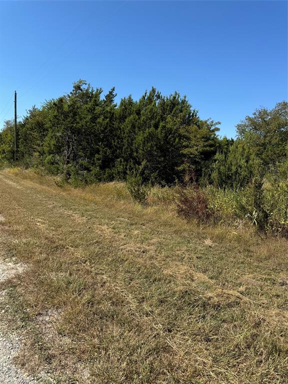 36026 Cedar Ridge Drive Property Photo 3