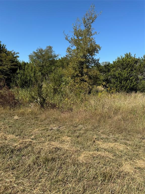 36026 Cedar Ridge Drive Property Photo 5