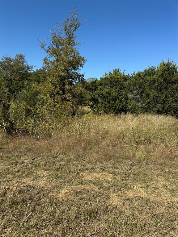 36026 Cedar Ridge Drive Property Photo 6