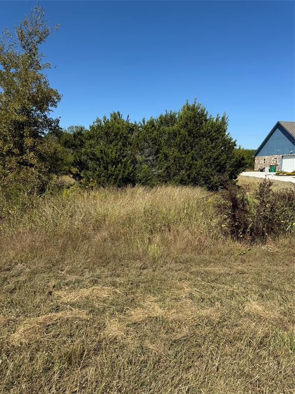 36026 Cedar Ridge Drive Property Photo 7