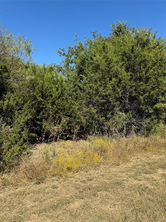 36026 Cedar Ridge Drive Property Photo 8