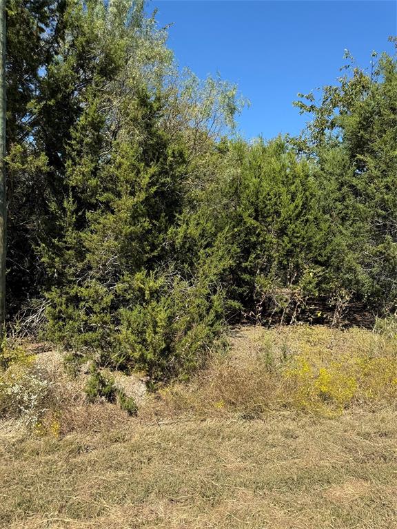 36026 Cedar Ridge Drive Property Photo 9
