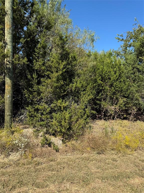 36026 Cedar Ridge Drive Property Photo 10