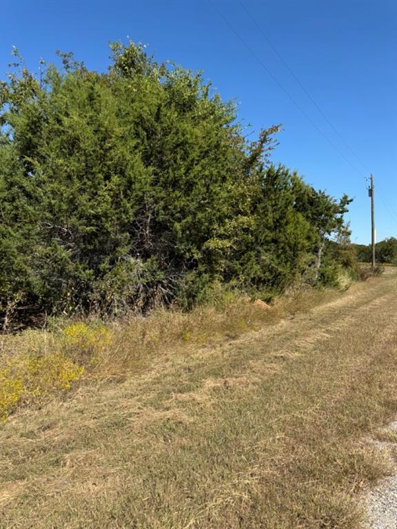 36026 Cedar Ridge Drive Property Photo 11
