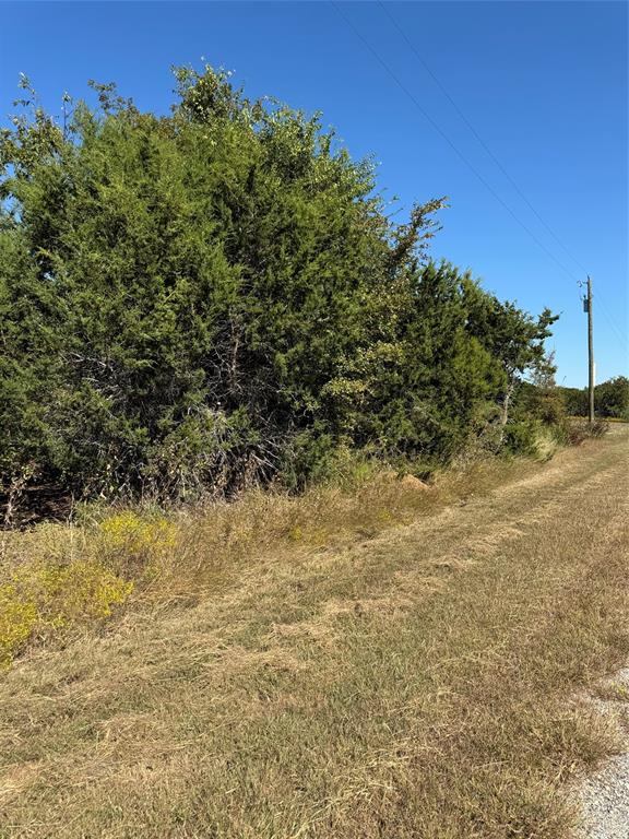 36026 Cedar Ridge Drive Property Photo 12