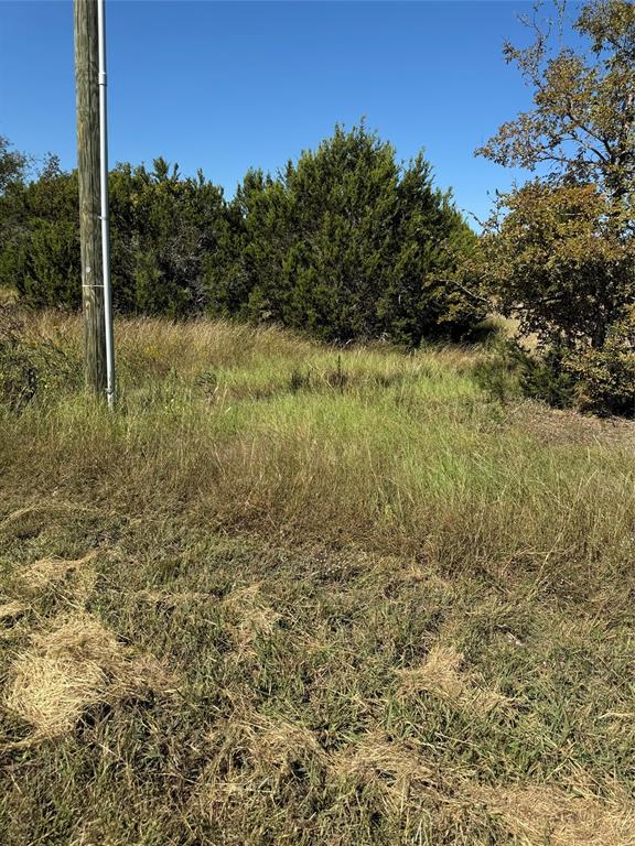 36026 Cedar Ridge Drive Property Photo 13