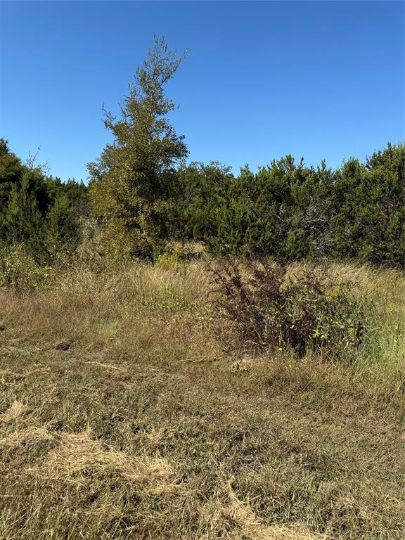 36026 Cedar Ridge Drive Property Photo 14