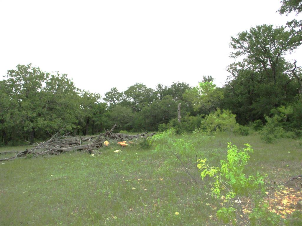 23 Ac Erwin Property Photo 4
