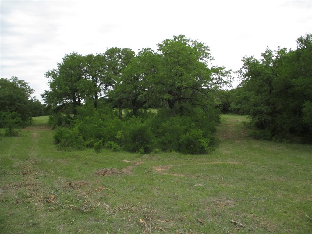 23 Ac Erwin Property Photo 5