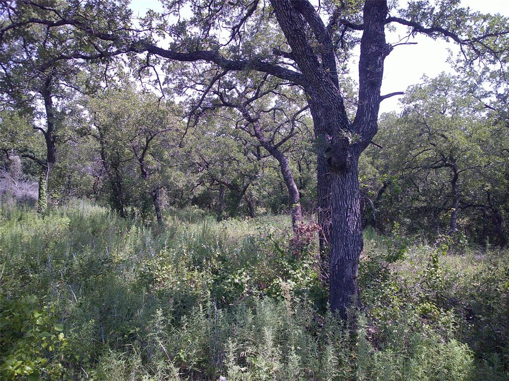 33 Ac N Mason Property Photo 1