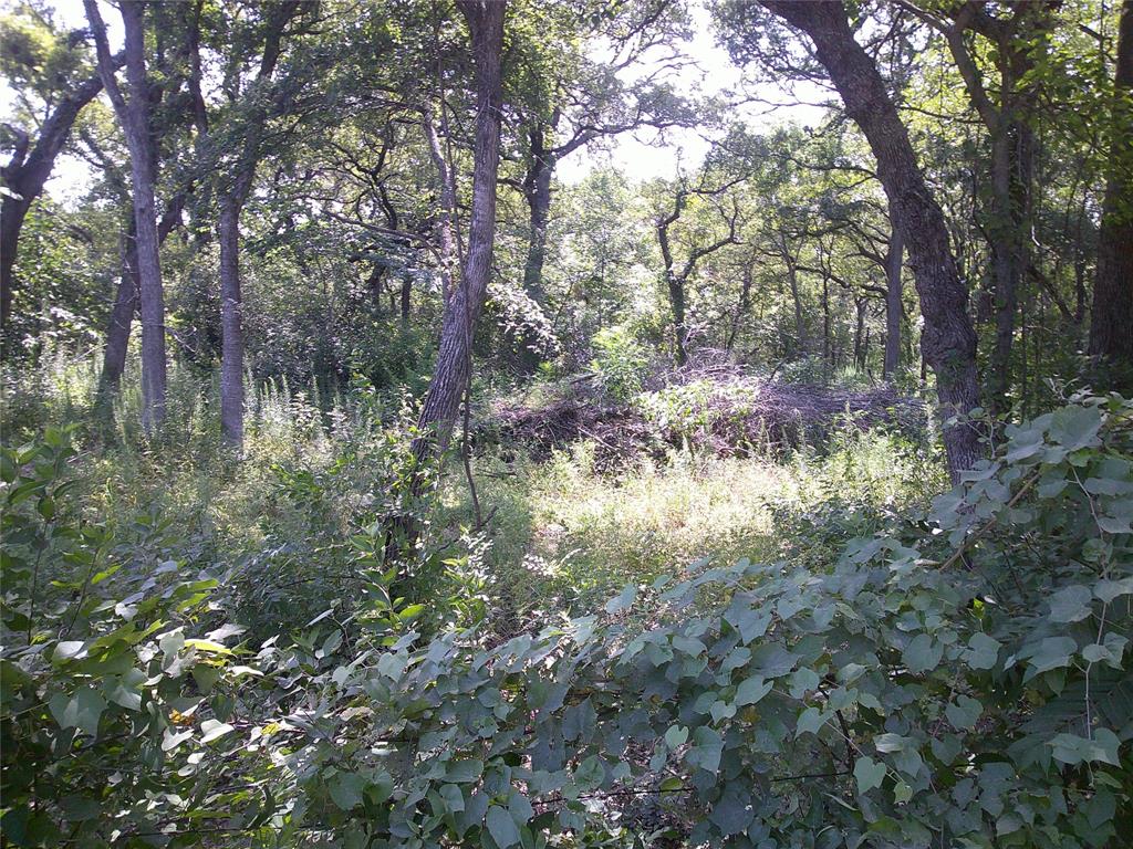 33 Ac N Mason Property Photo 2