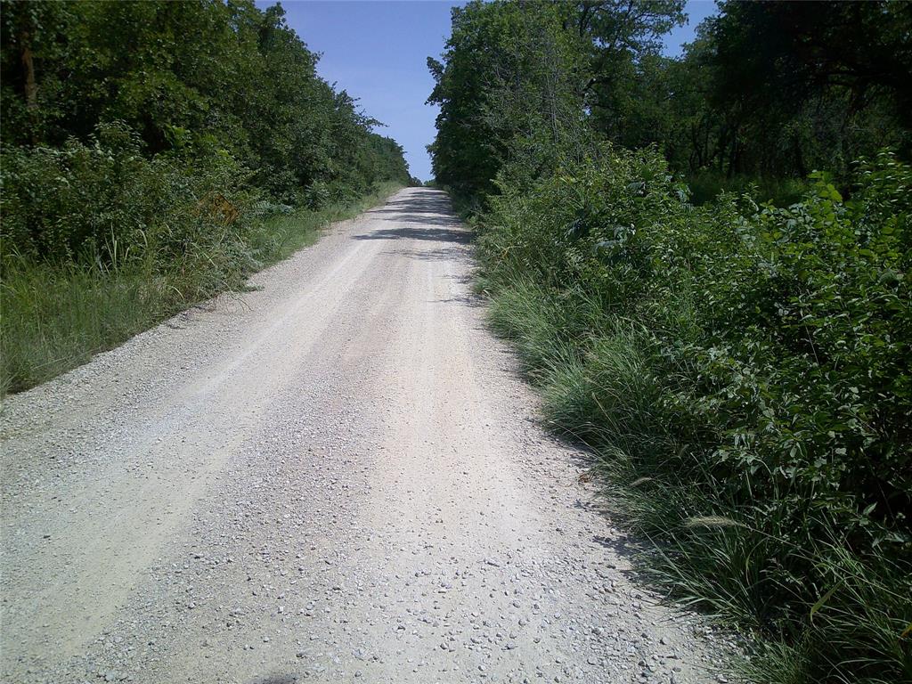 33 Ac N Mason Property Photo 3