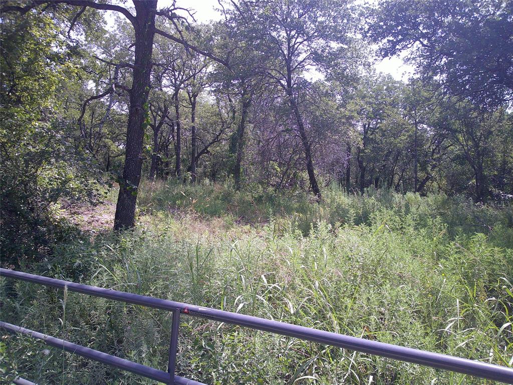 33 Ac N Mason Property Photo 4