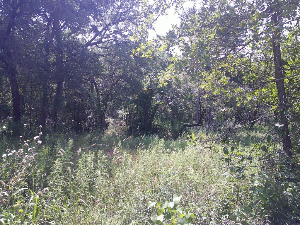33 Ac N Mason Property Photo 5