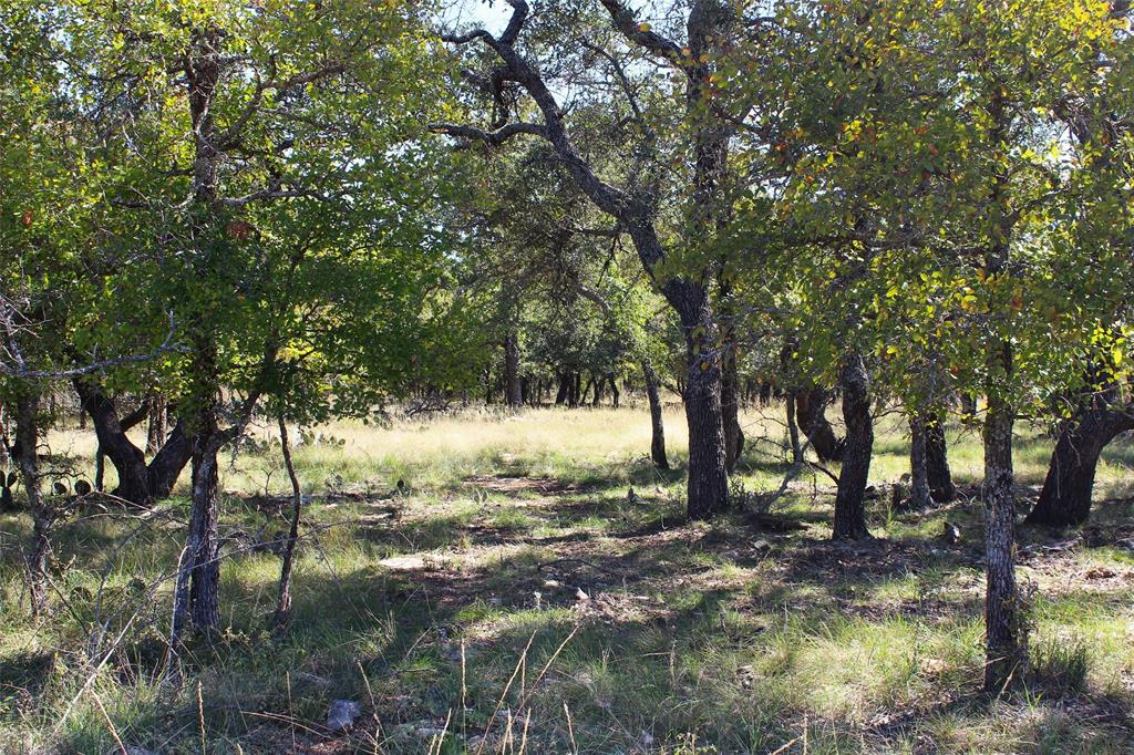 253 Oak Point Drive Property Photo 6