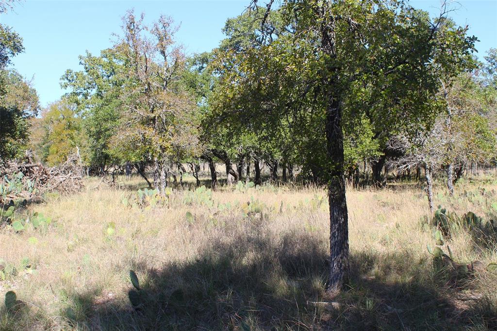 253 Oak Point Drive Property Photo 10