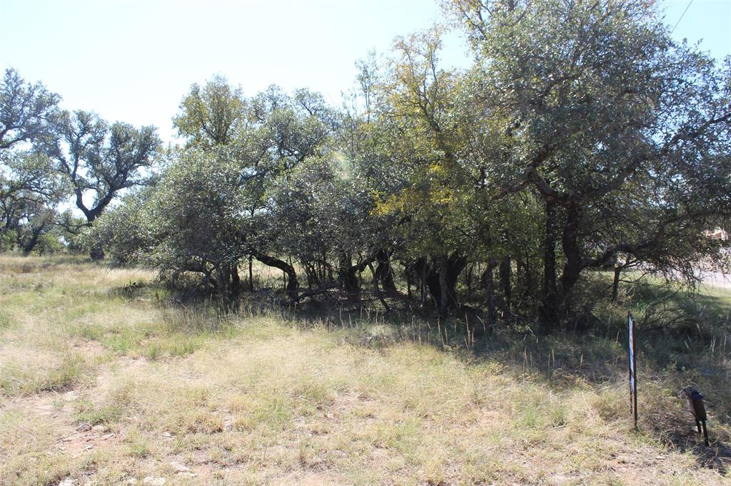 253 Oak Point Drive Property Photo 12