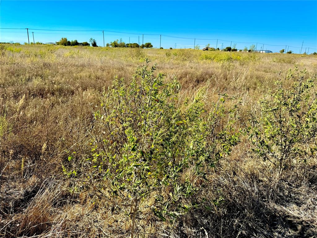 Lot 6 Cr-590 Property Photo 2