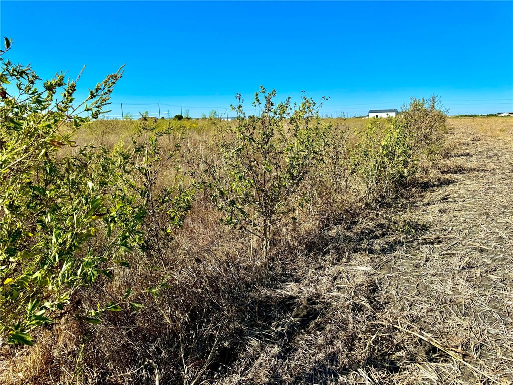 Lot 6 Cr-590 Property Photo 4