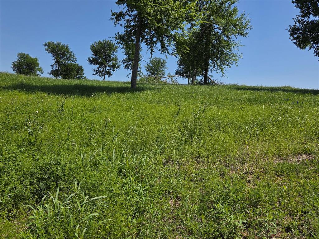 577 Old Peninsula Trail Property Photo 10