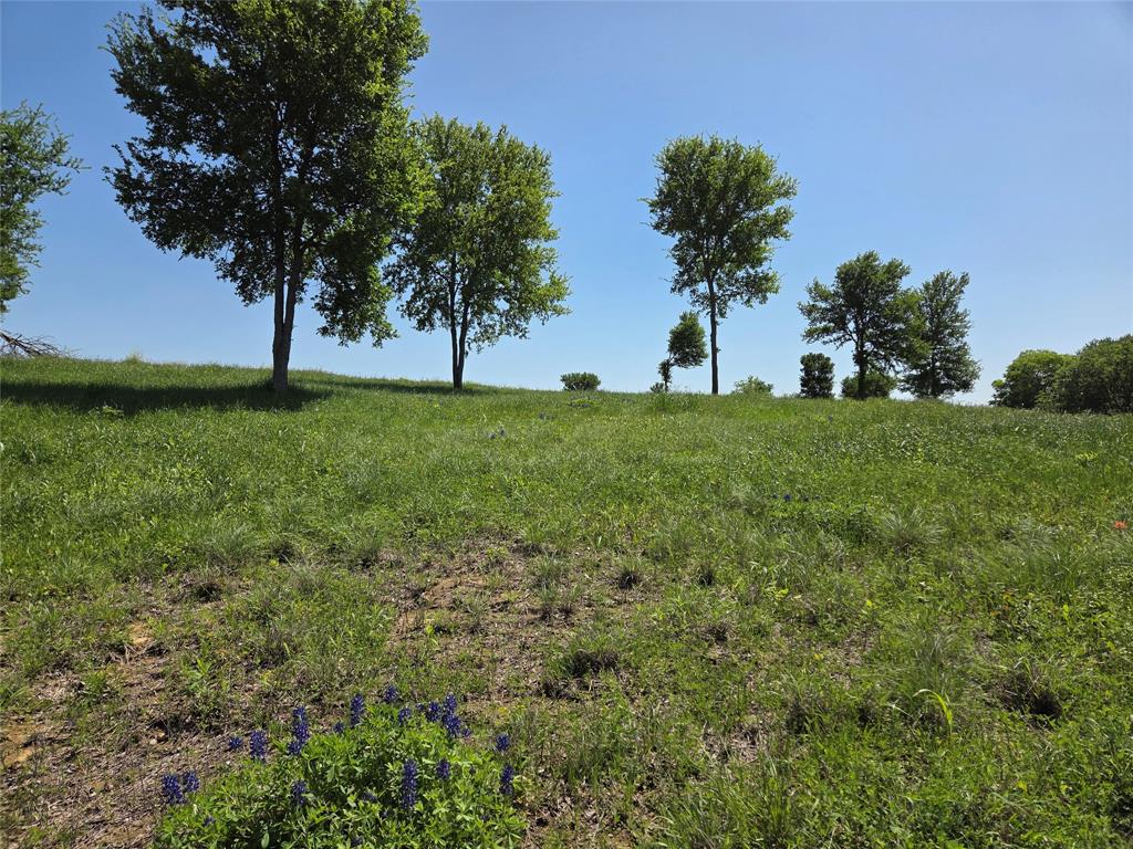 577 Old Peninsula Trail Property Photo 11