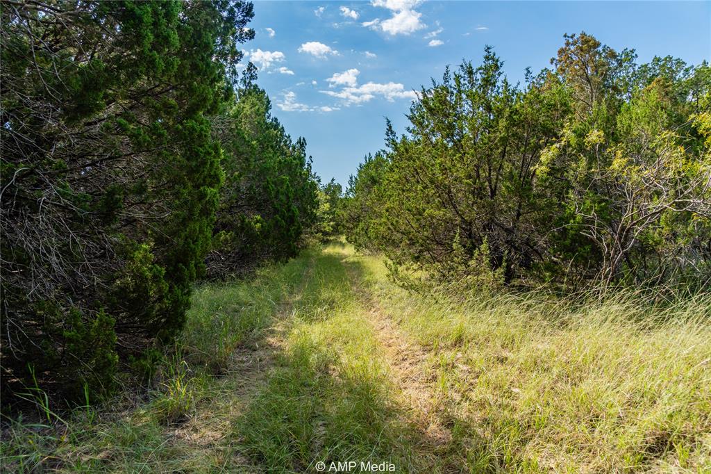 1982 Cr 351 Property Photo 17