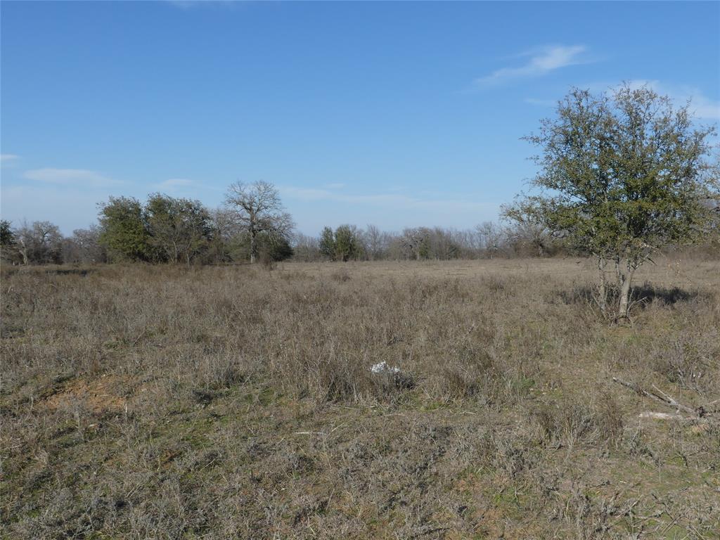 15.01 Acres Fm 2210 Property Photo 4