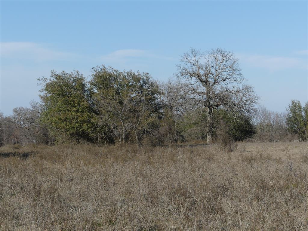 15.01 Acres Fm 2210 Property Photo 5