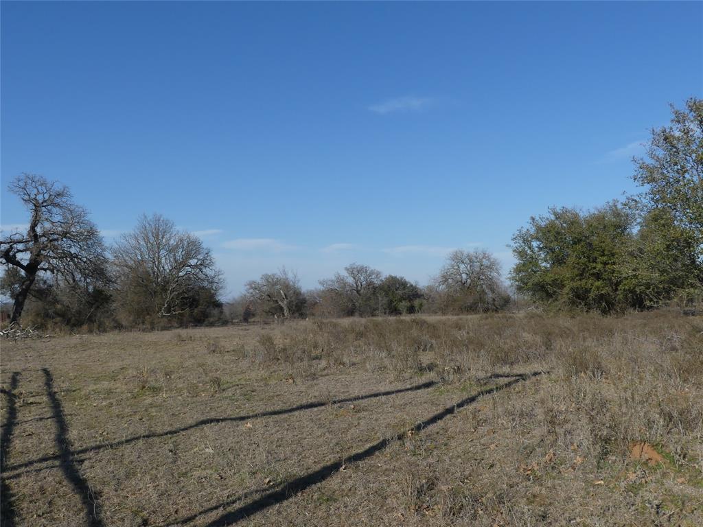15.01 Acres Fm 2210 Property Photo 7