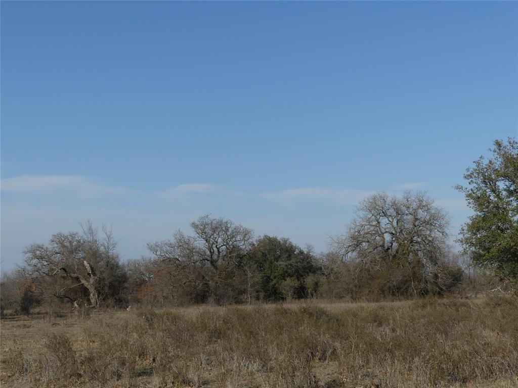 15.01 Acres Fm 2210 Property Photo 9