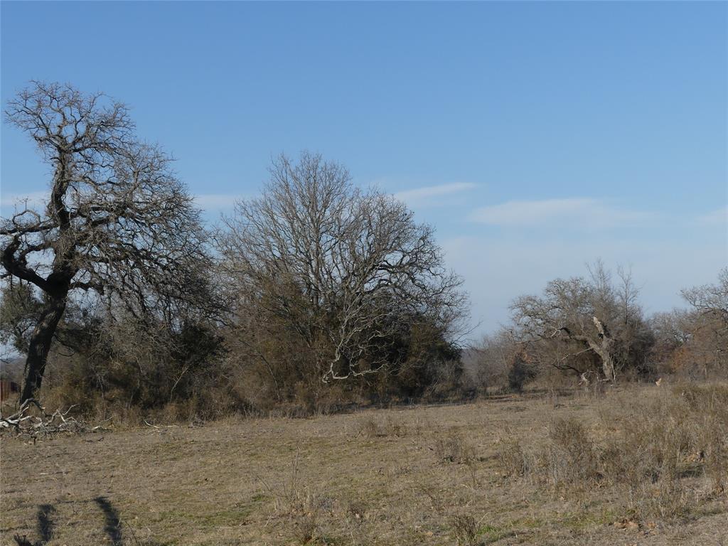 15.01 Acres Fm 2210 Property Photo 10