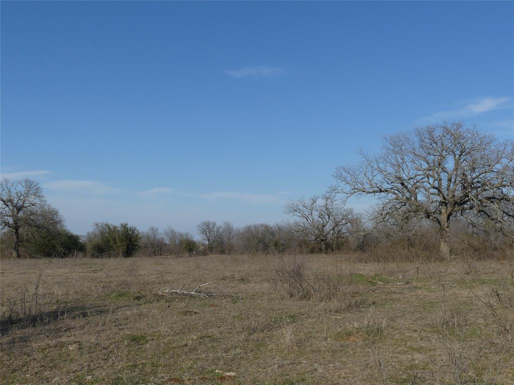 15.01 Acres Fm 2210 Property Photo 11
