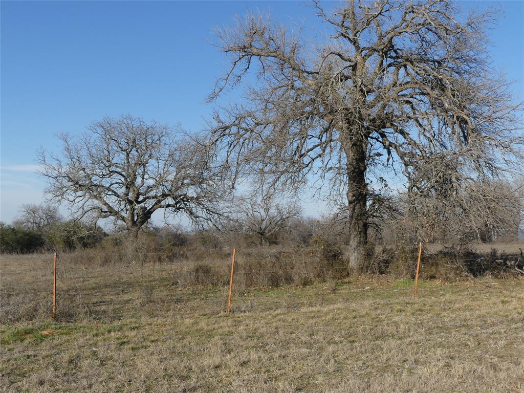 15.01 Acres Fm 2210 Property Photo 14