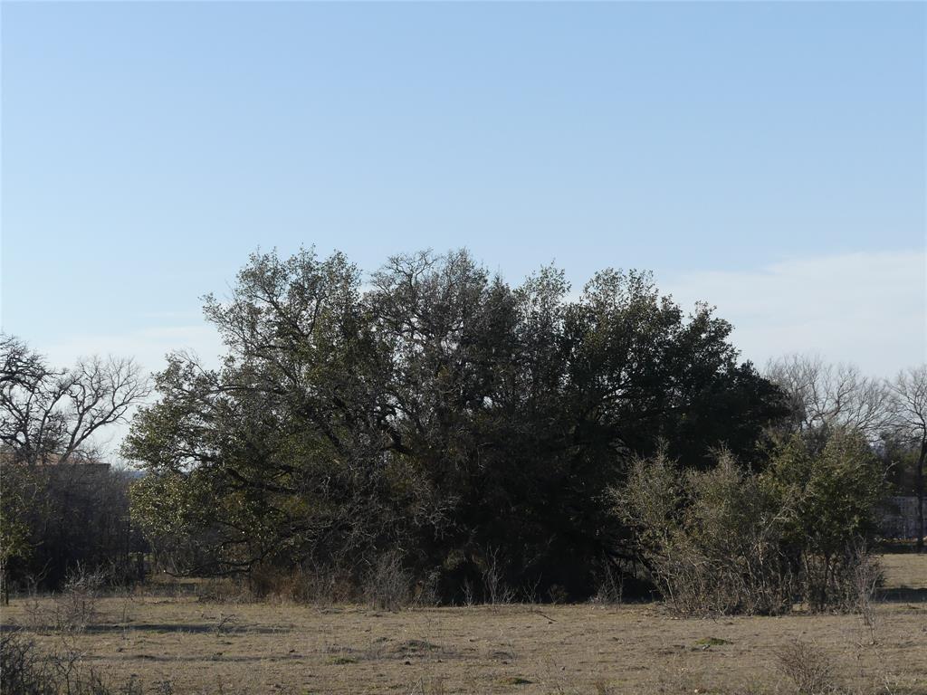 15.01 Acres Fm 2210 Property Photo 18