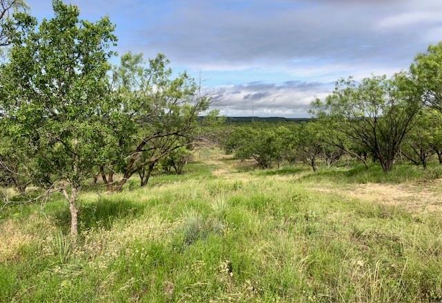 160 Fm 601 Property Photo 2