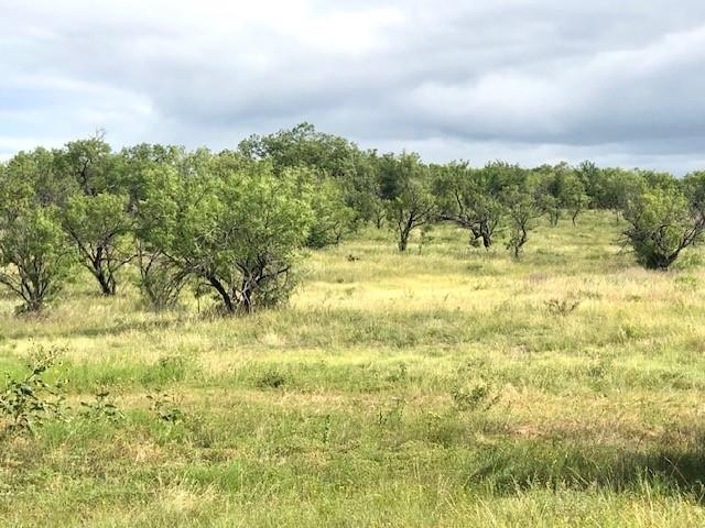 172 Fm 601 Property Photo 7