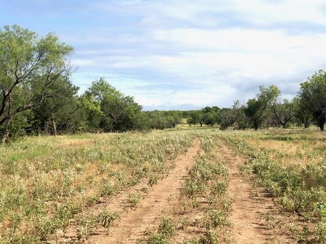 172 Fm 601 Property Photo 8