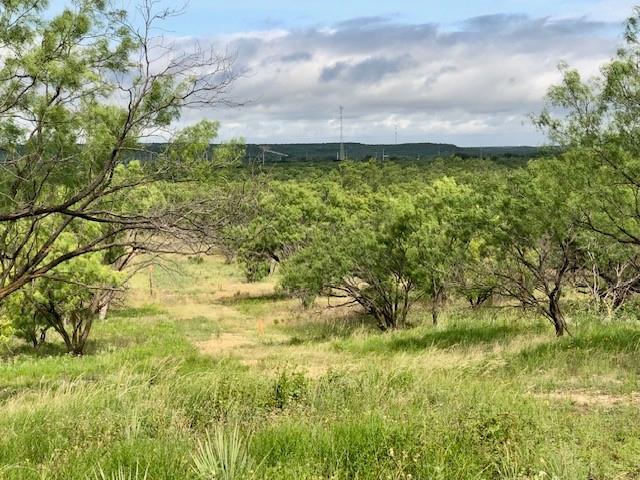 176 Fm 601 Property Photo 4